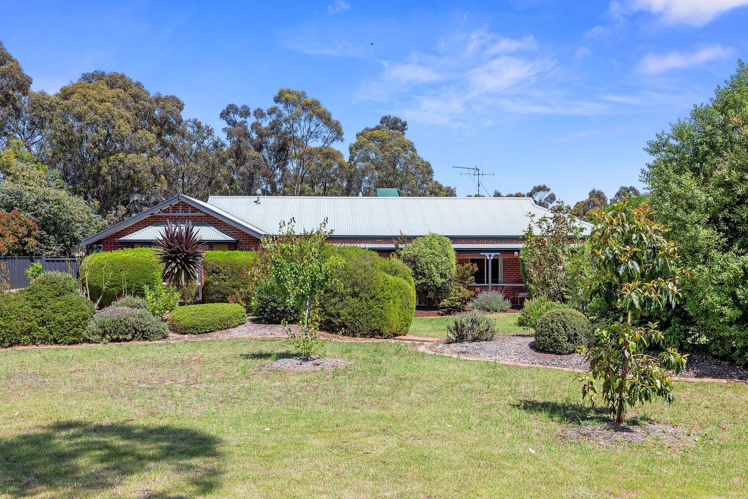 6 Conboy Court, Ascot VIC 3551 Domain