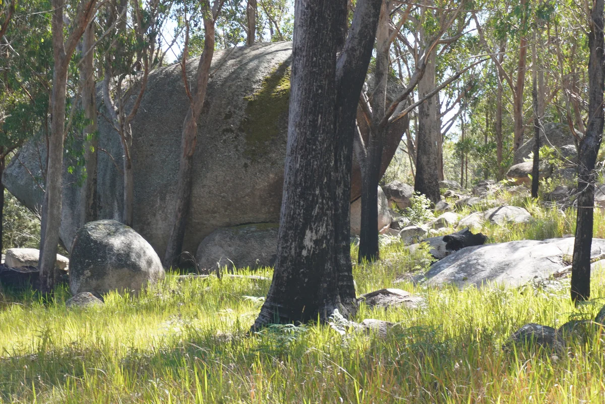 Additional image 25 of 1293 Mount Lindesay Road, Tenterfield NSW 2372