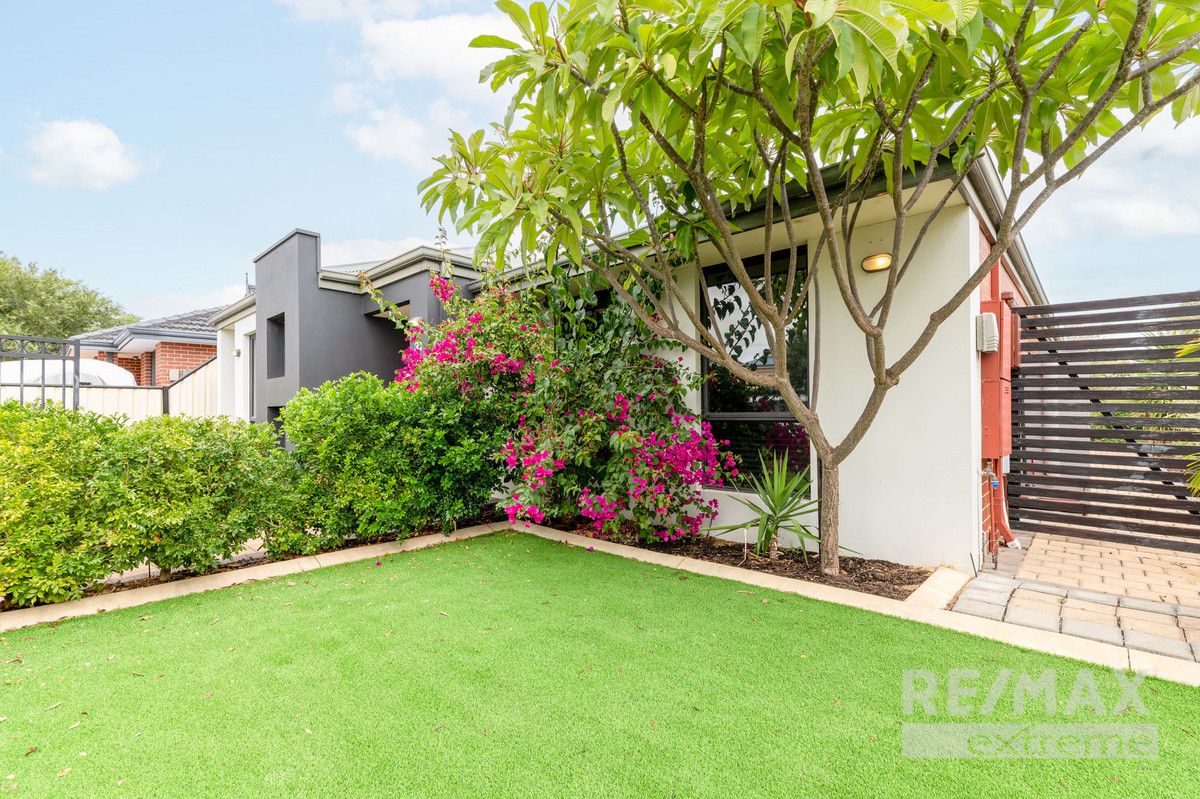 34 Arvada Street, Clarkson WA 6030 House For Rent Domain