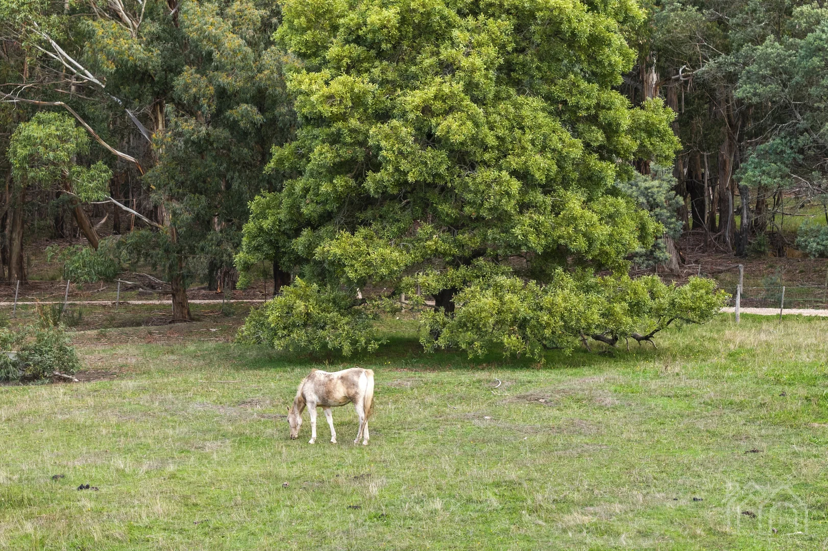 Additional image 35 of 113 Lavender Farm Road, Woodend VIC 3442