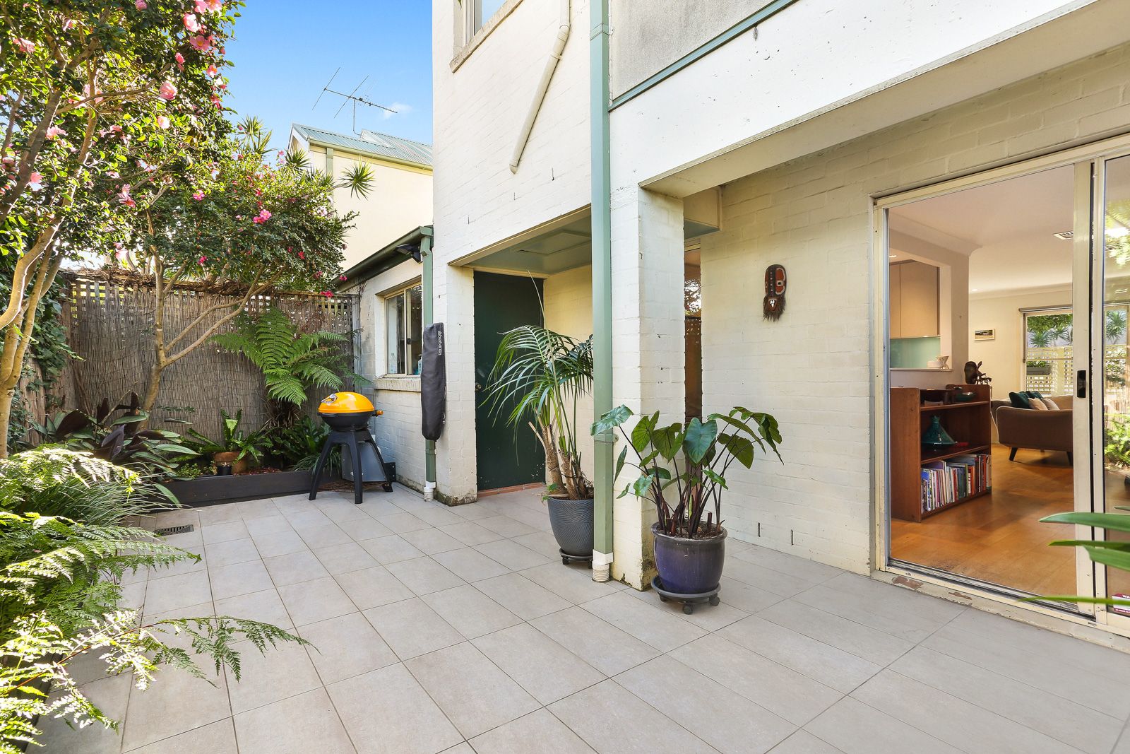 1/4 Bungay Street, Leichhardt NSW 2040, Image 2