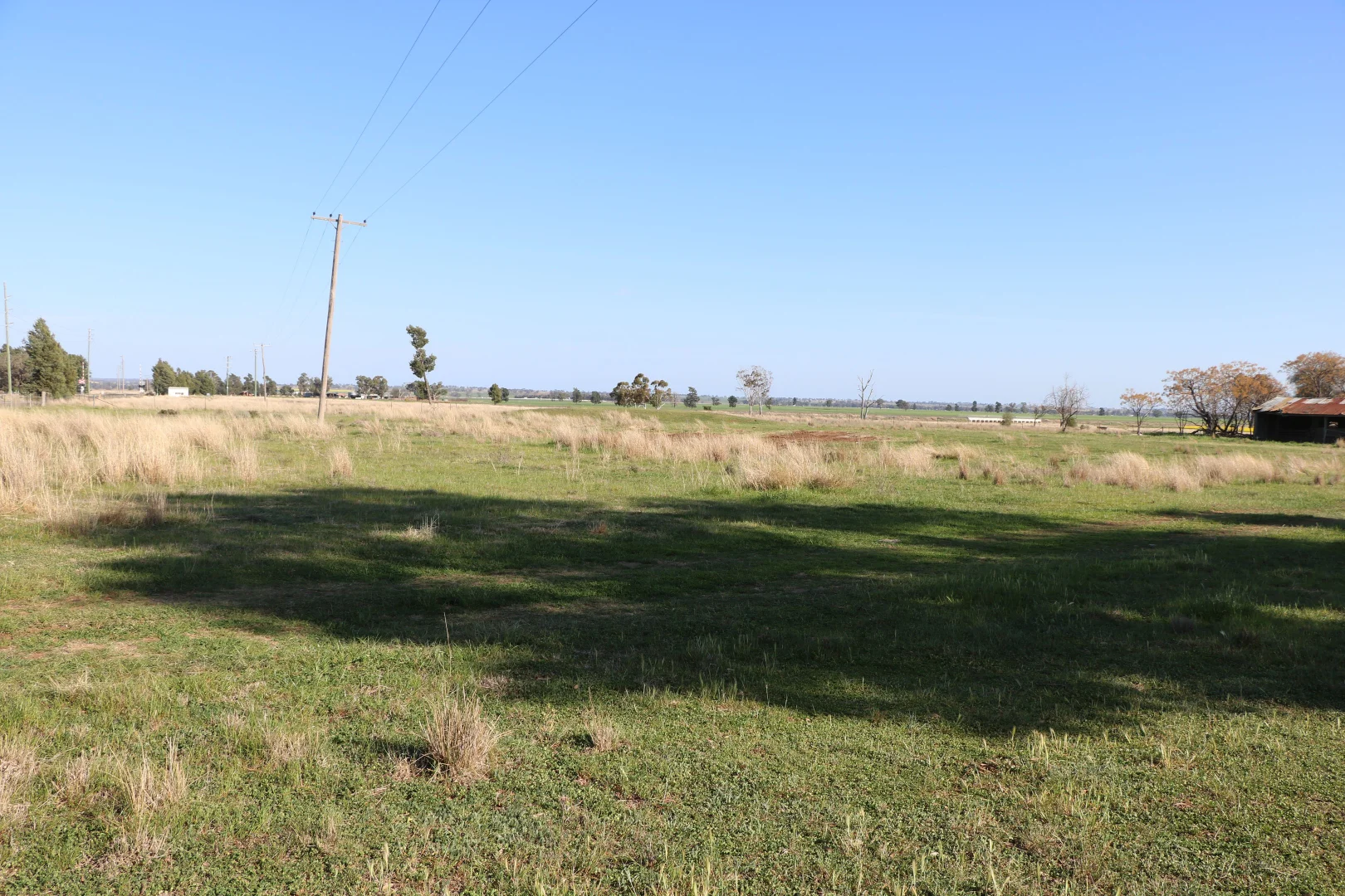 Image 13