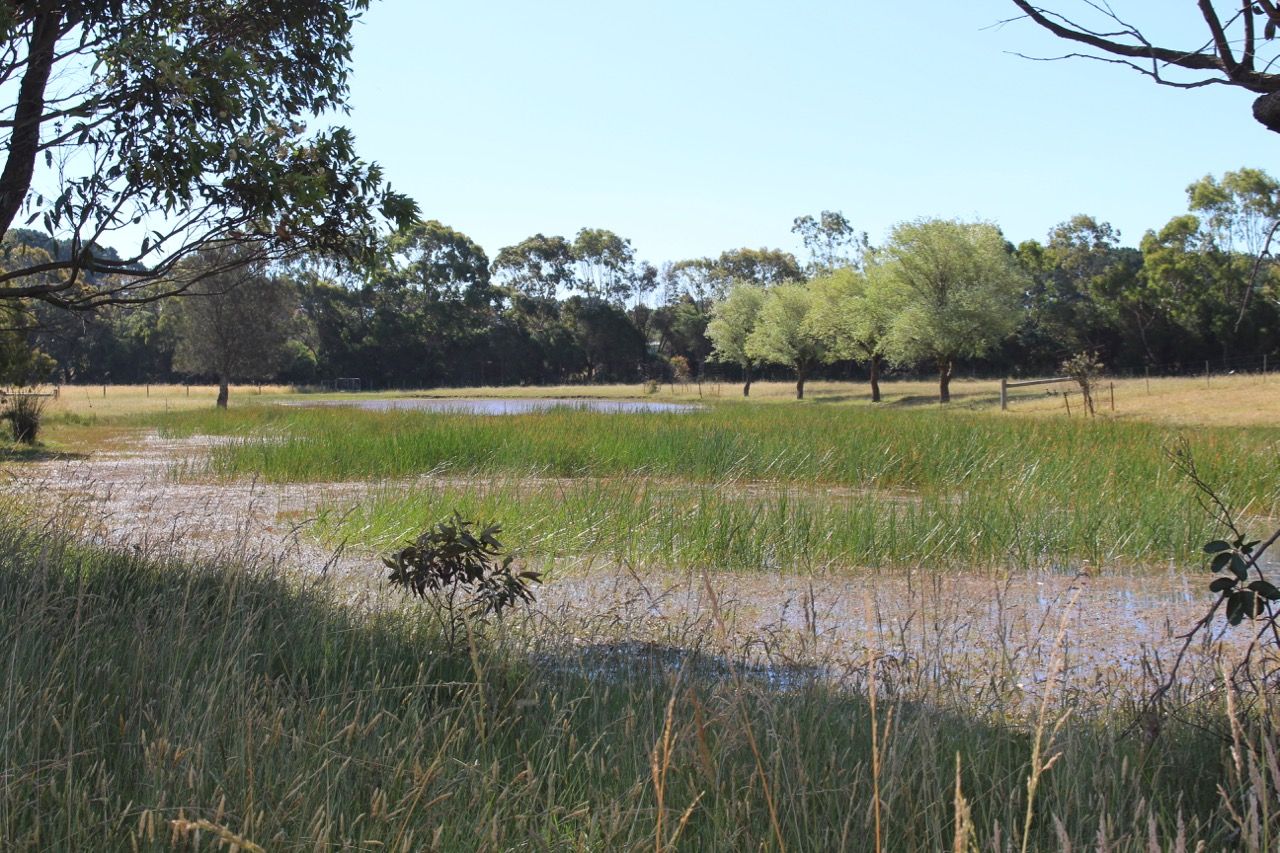 27 Casboults Road, Wensleydale VIC 3241, Image 2