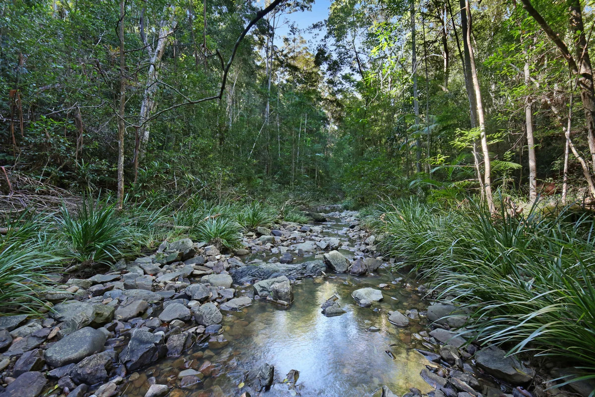 Image 25