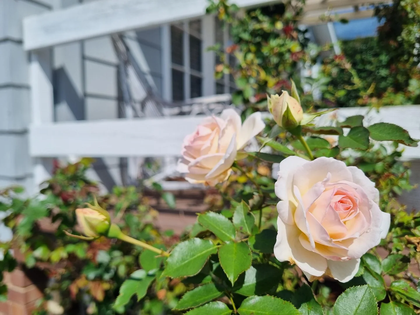 Additional image 24 of 19 Hill Street, Bundanoon NSW 2578