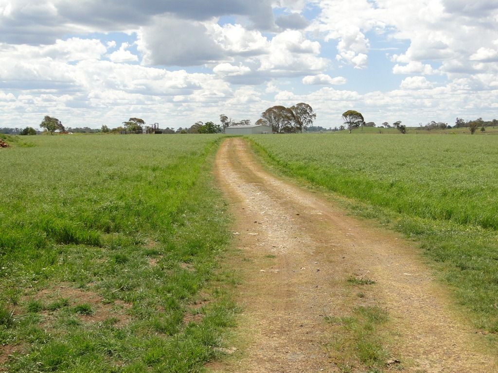 Hilltop Worra Street, Guyra NSW 2365, Image 0