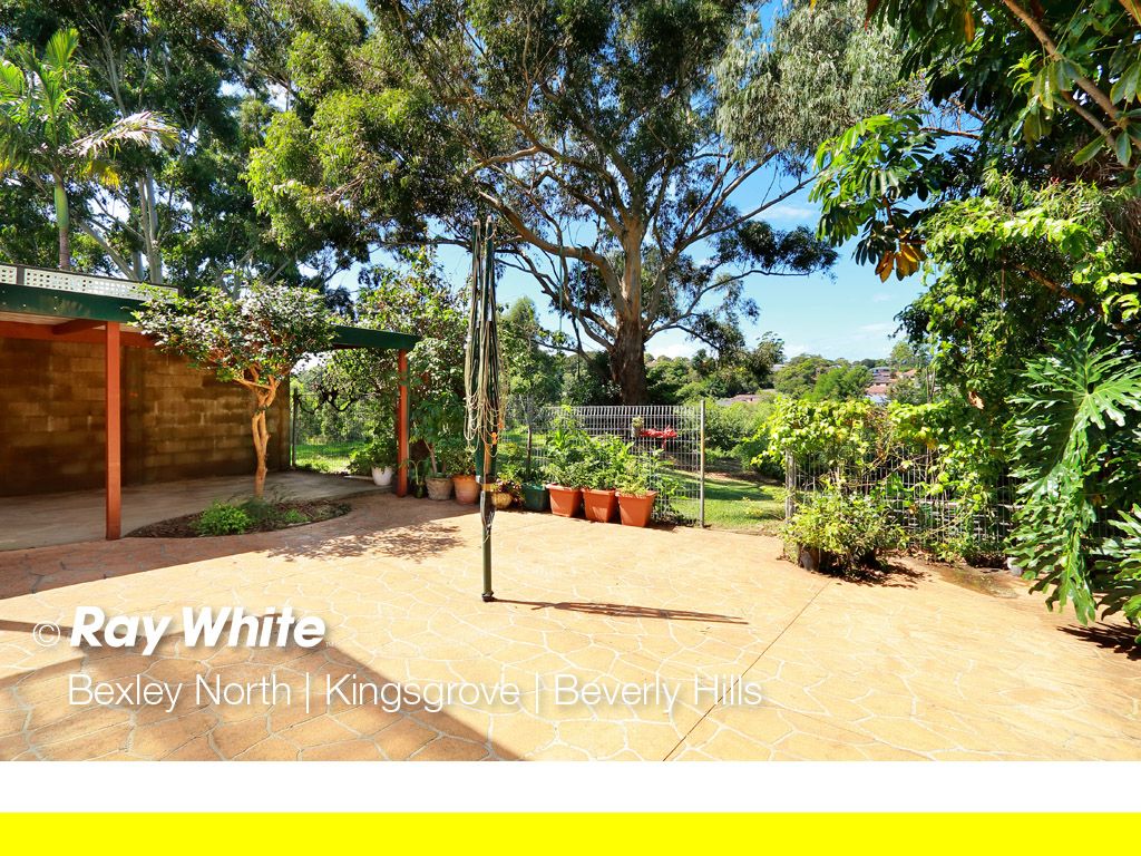 16 Hutchinson Street, Bardwell Park NSW 2207 Domain