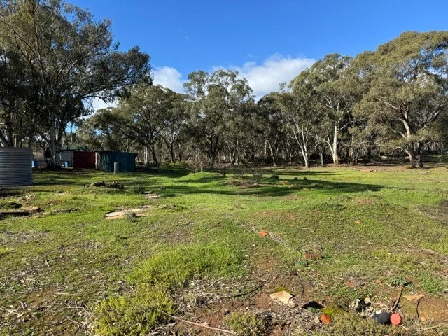 Image 11