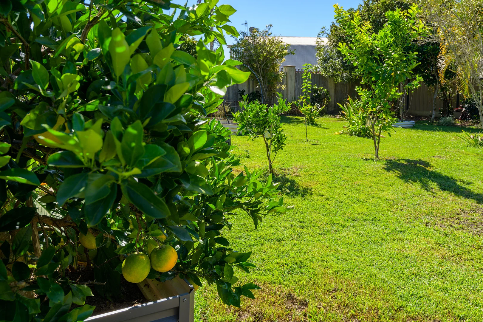 Additional image 22 of 80 Golden Hind Avenue, Cooloola Cove QLD 4580