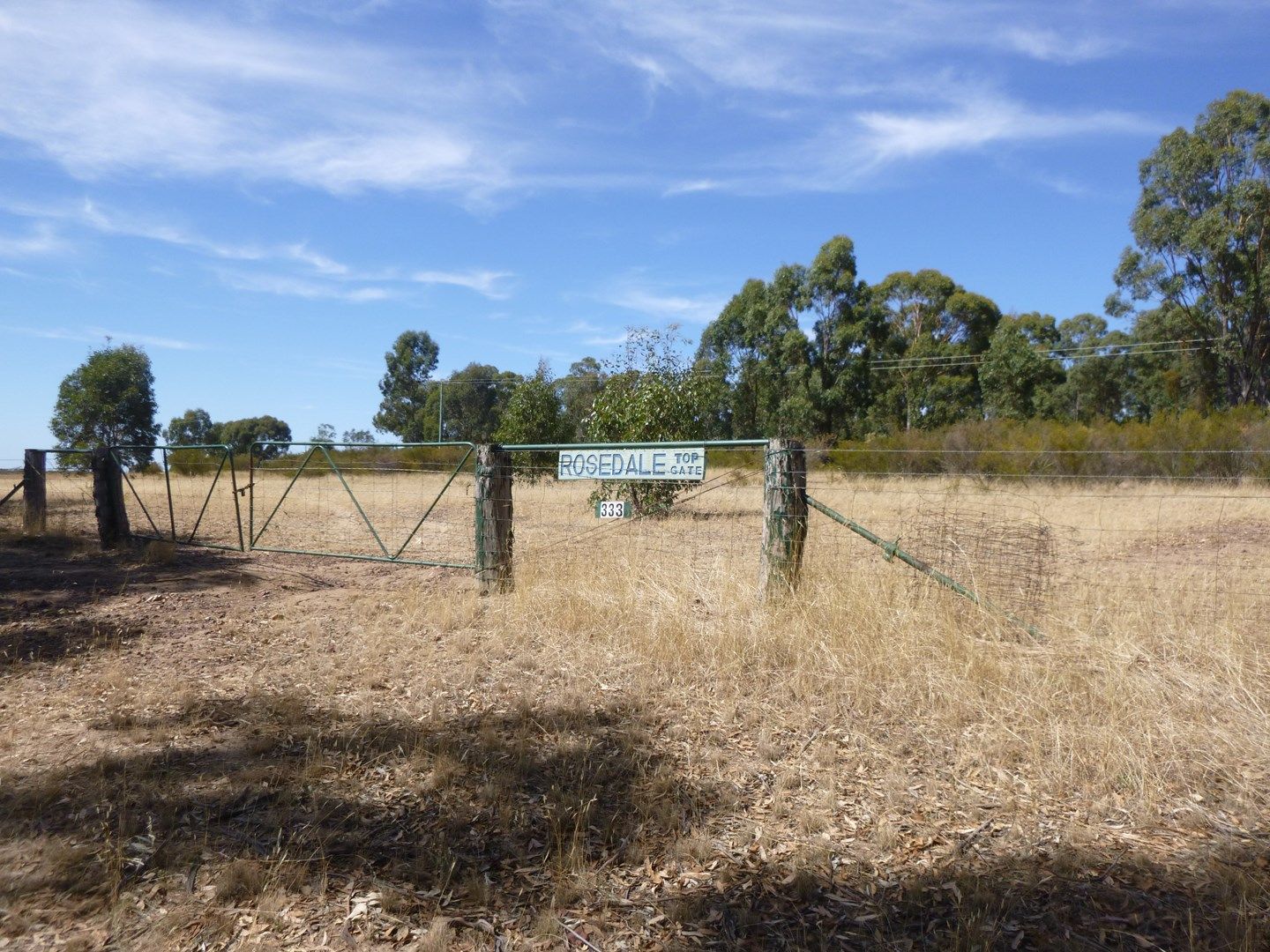 333 Sheep Station Road, Cowra NSW 2794, Image 0