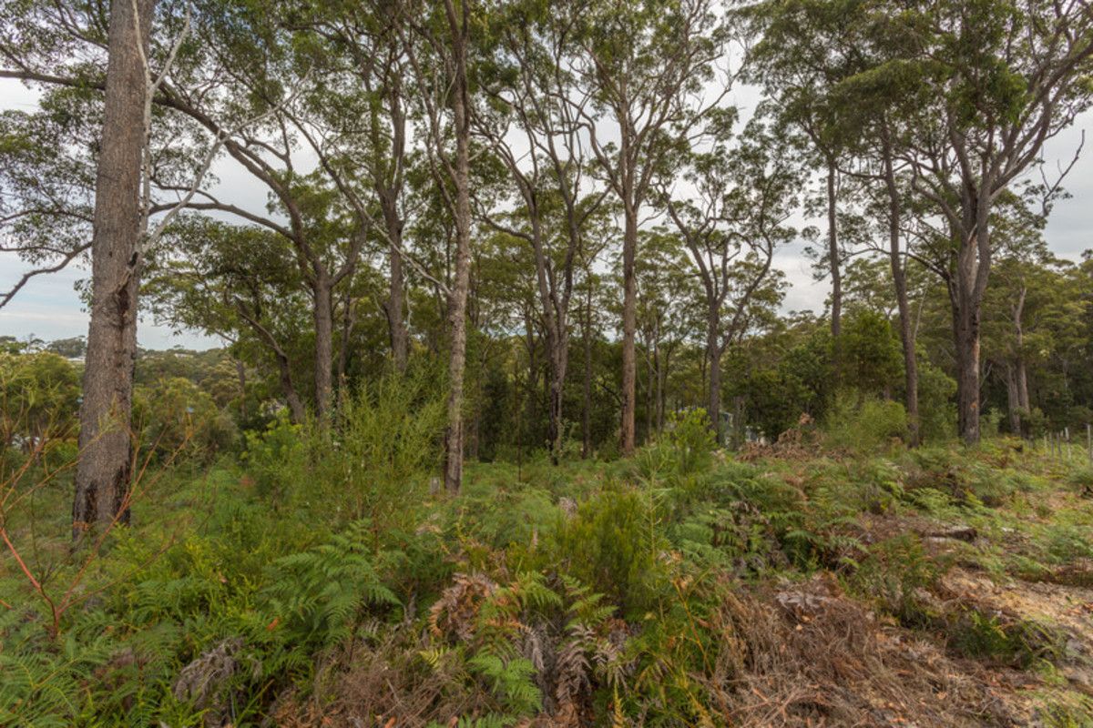 7 Dolphin Cove, Tura Beach NSW 2548, Image 2