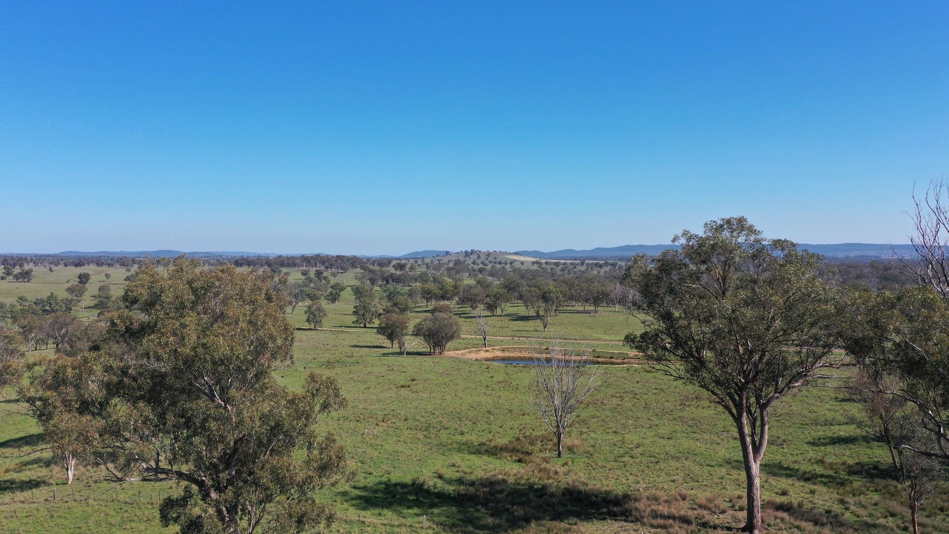 216 Mt Drummond Road, Bundarra NSW 2359, Image 0