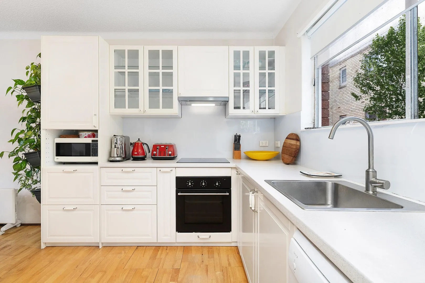 Apartment in Sydney, Bronte