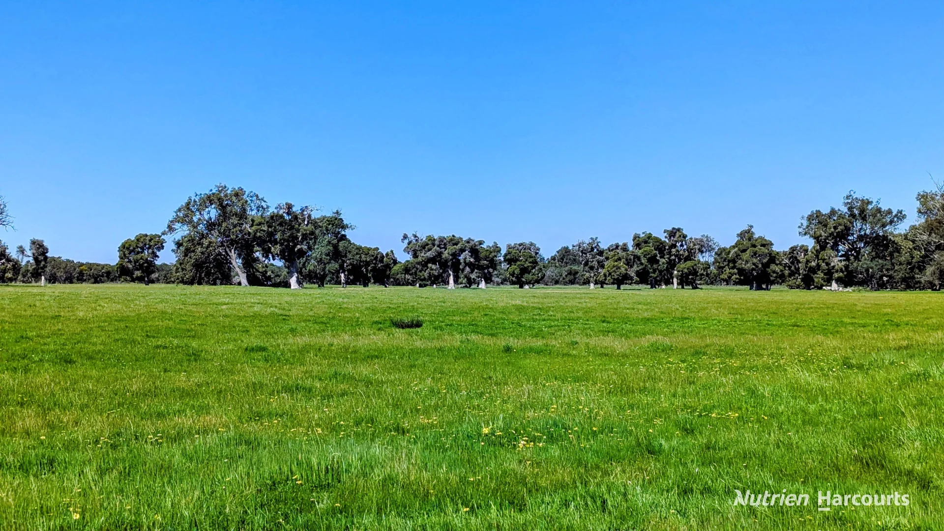 Additional image 15 of Lot 52 & 53 Cowalla Road, Cowalla, Gingin WA 6503