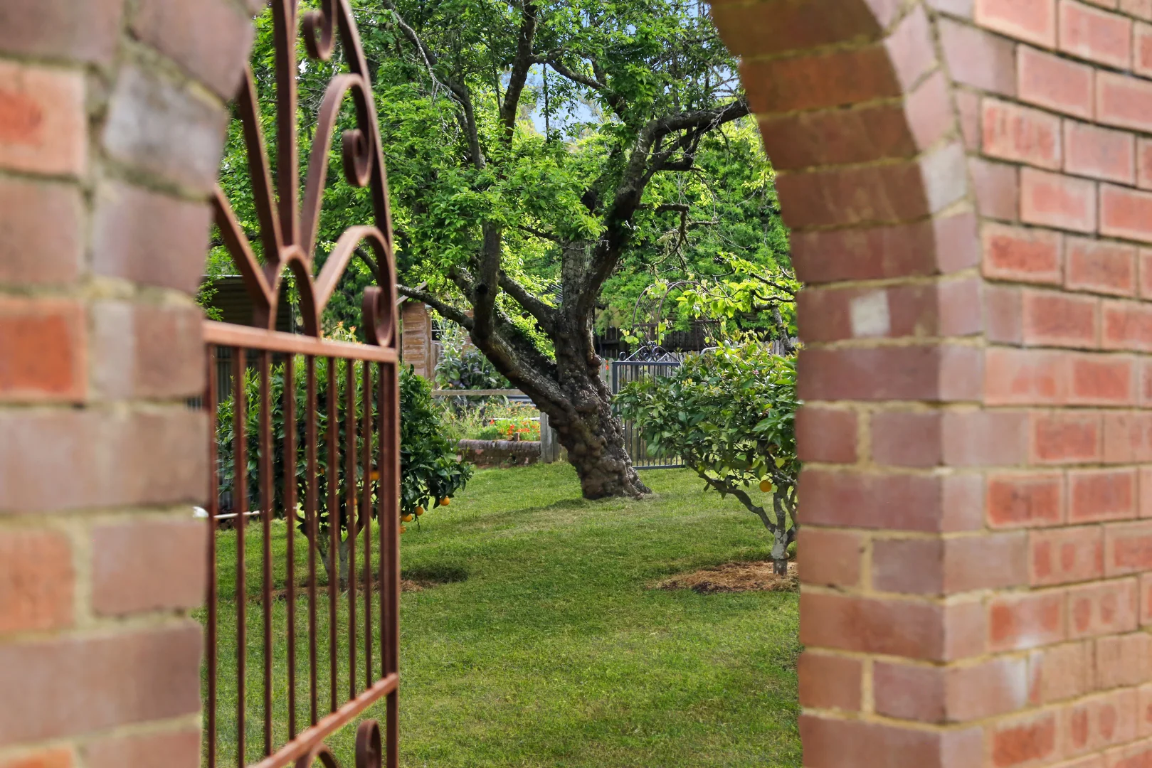 Image 20