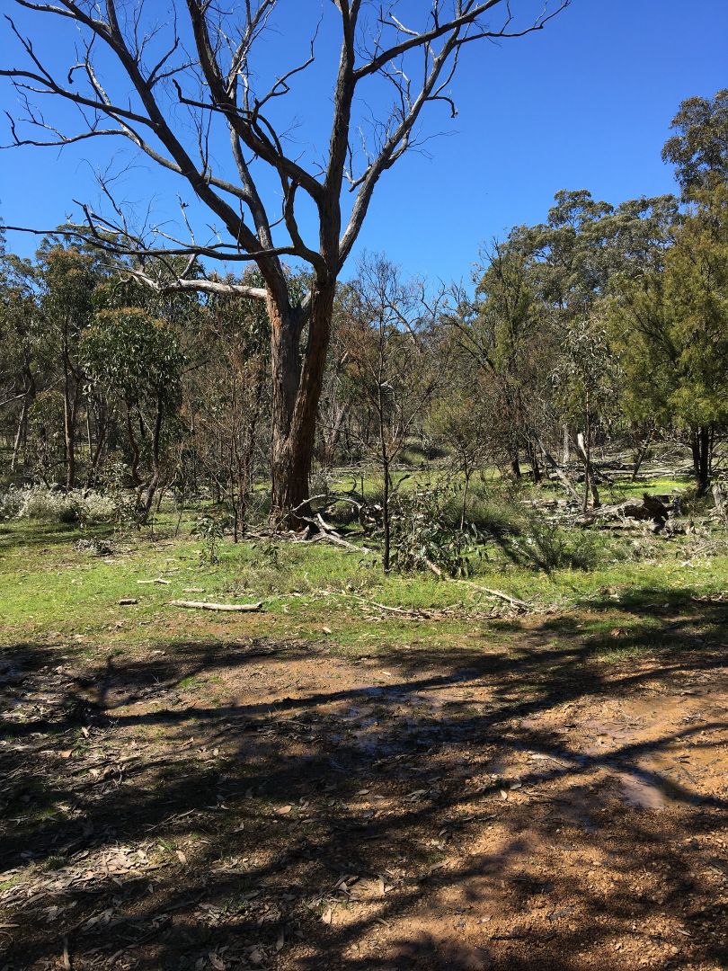 Mooralla VIC 3314 House for Sale Domain