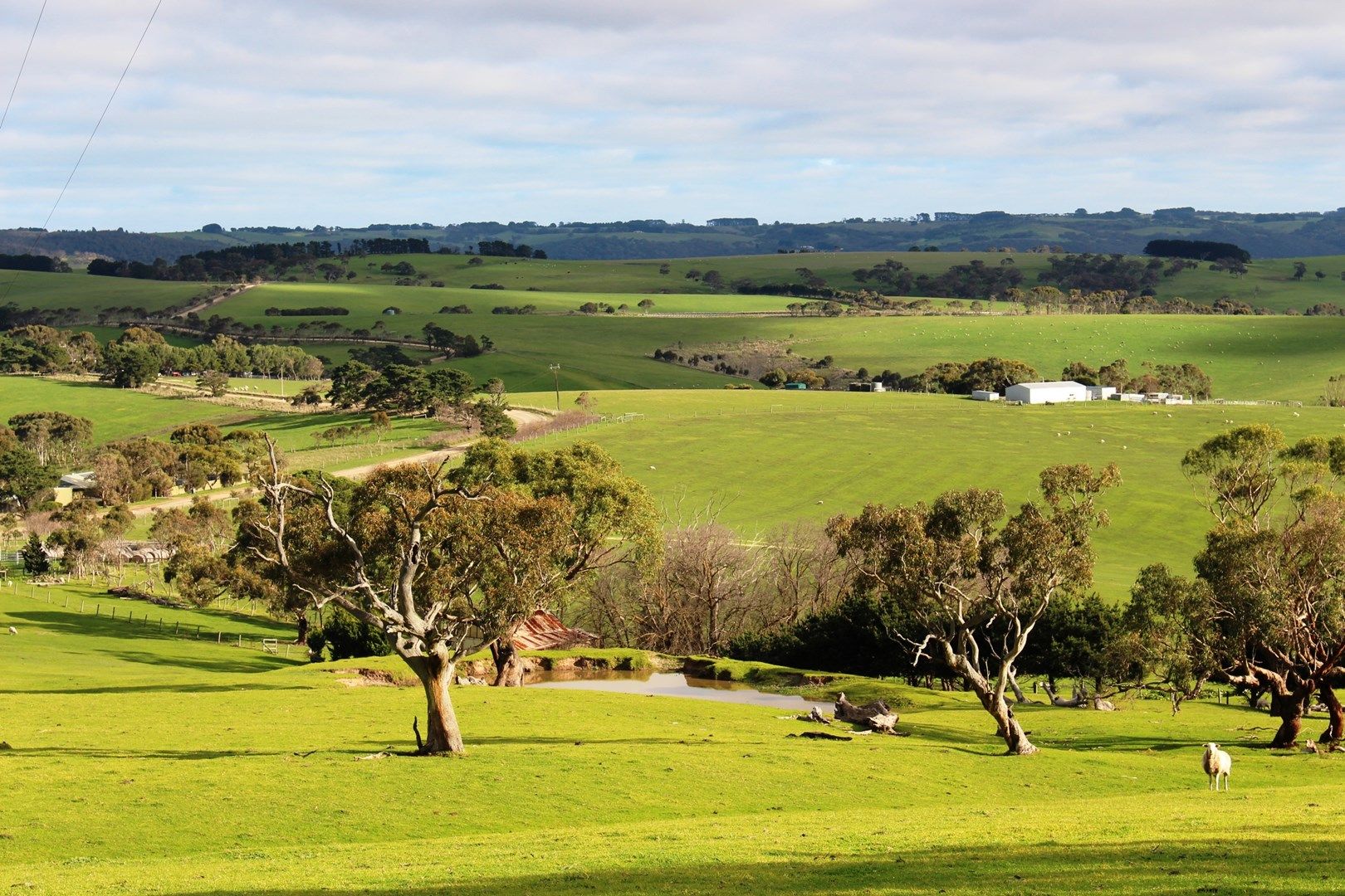 A9 Bald Hills Road, Bald Hills SA 5203, Image 0