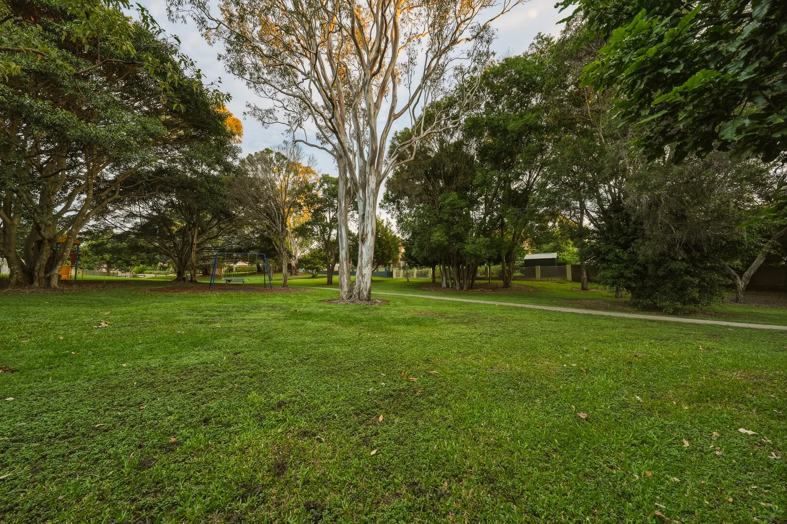 Image 20