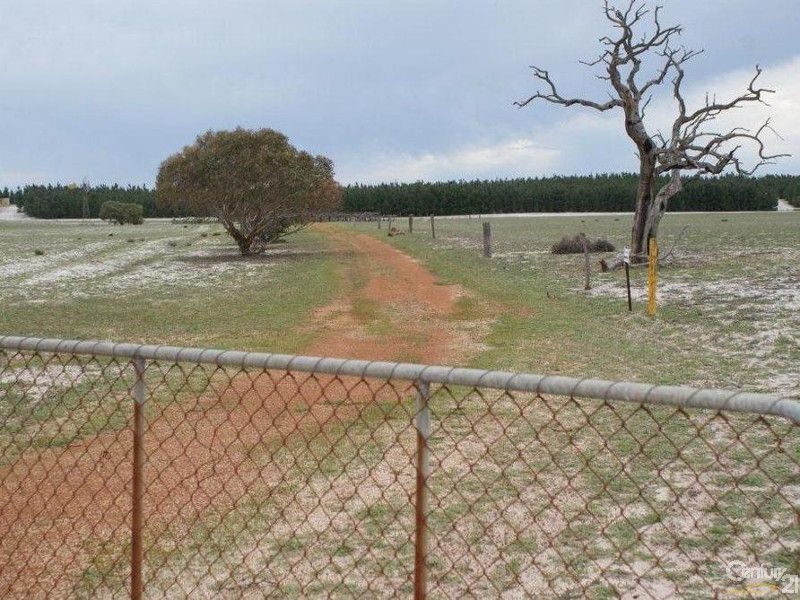 Lot M2084 Hunter Road, Regans Ford WA 6507 Domain