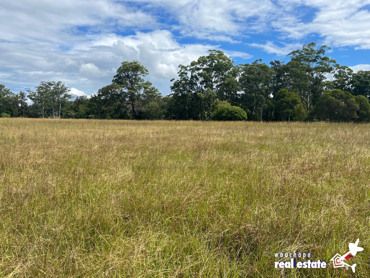 Lot 101 Stage 5 Beechwood Meadows, Beechwood NSW 2446, Image 1