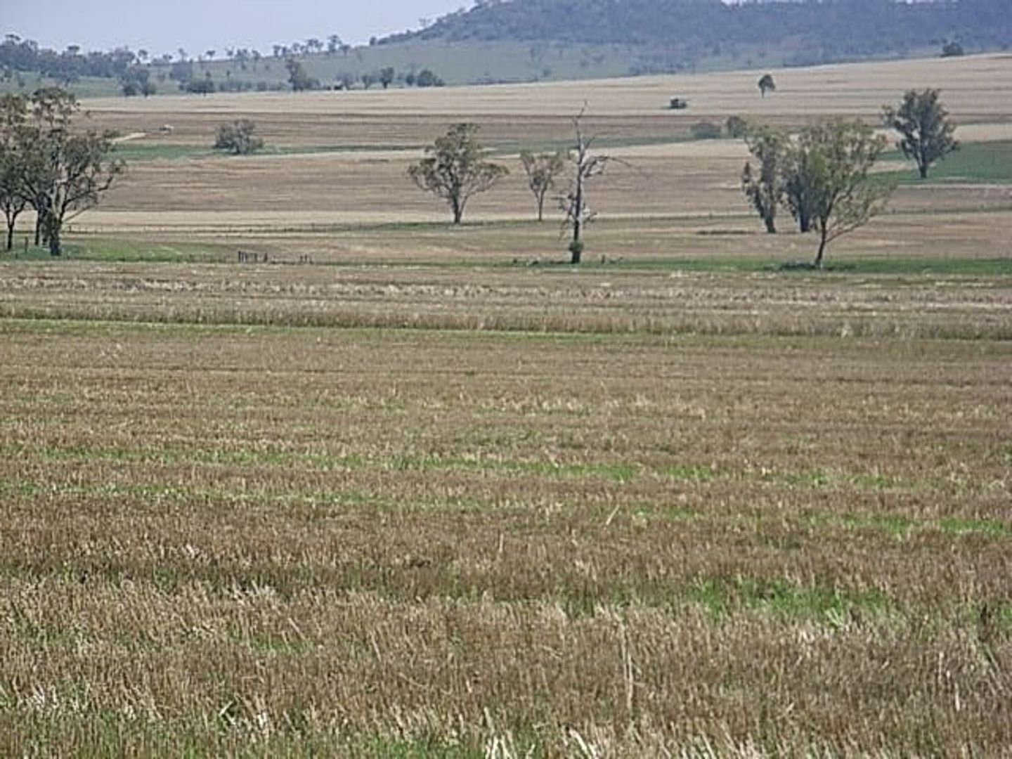 "Invereness", Warialda NSW 2402, Image 2