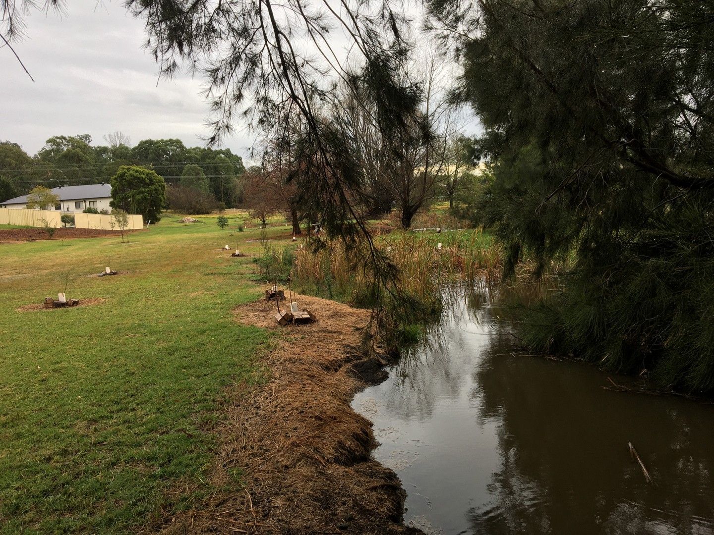 Vacant land in 15 Patterson Close, MORUYA NSW, 2537