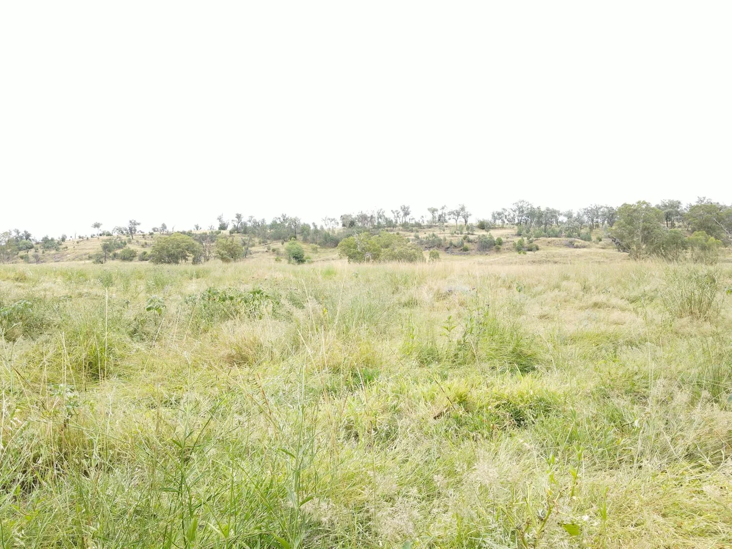 Image 13