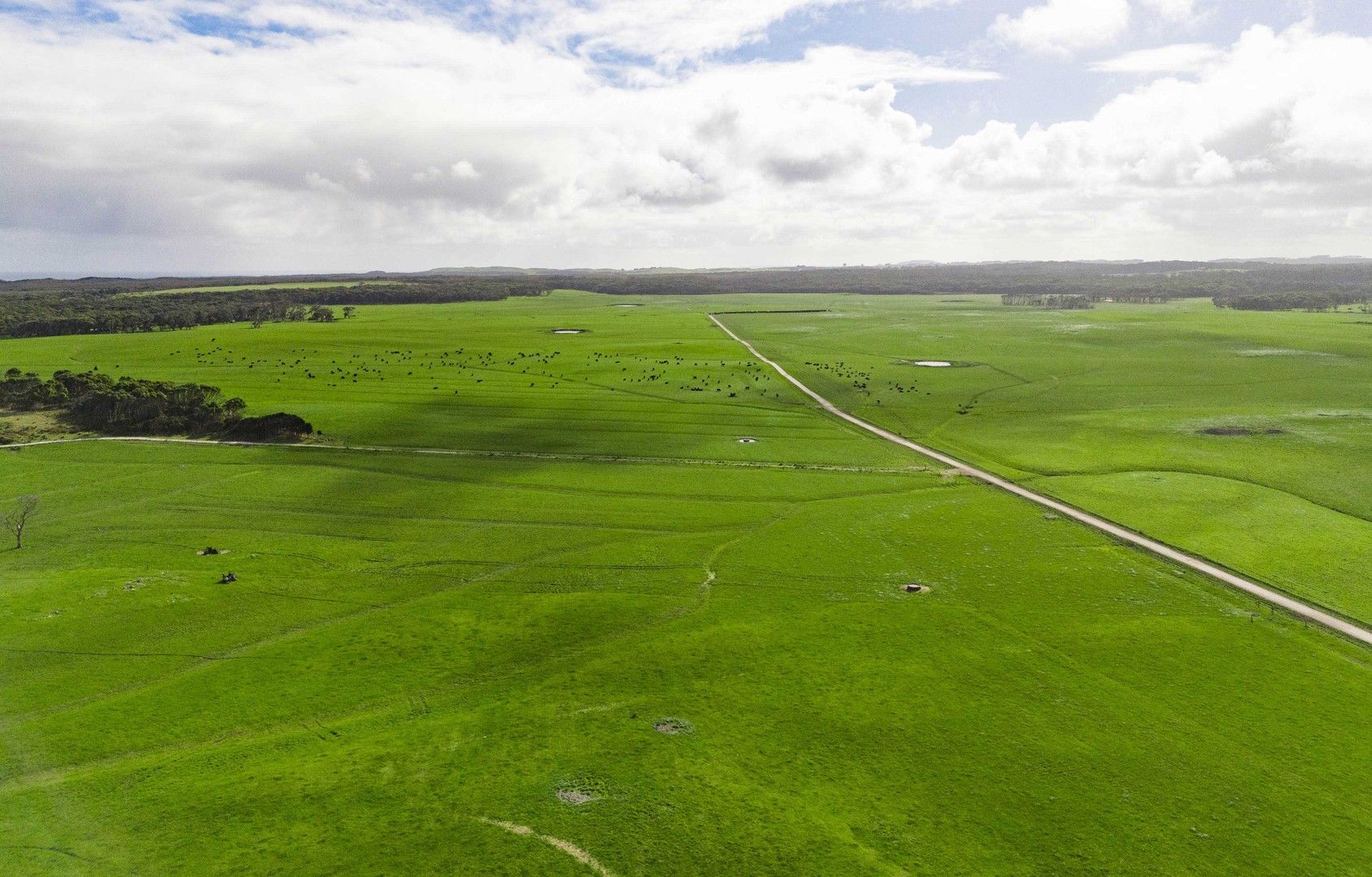 Marrawah TAS 7330 House for Sale Domain