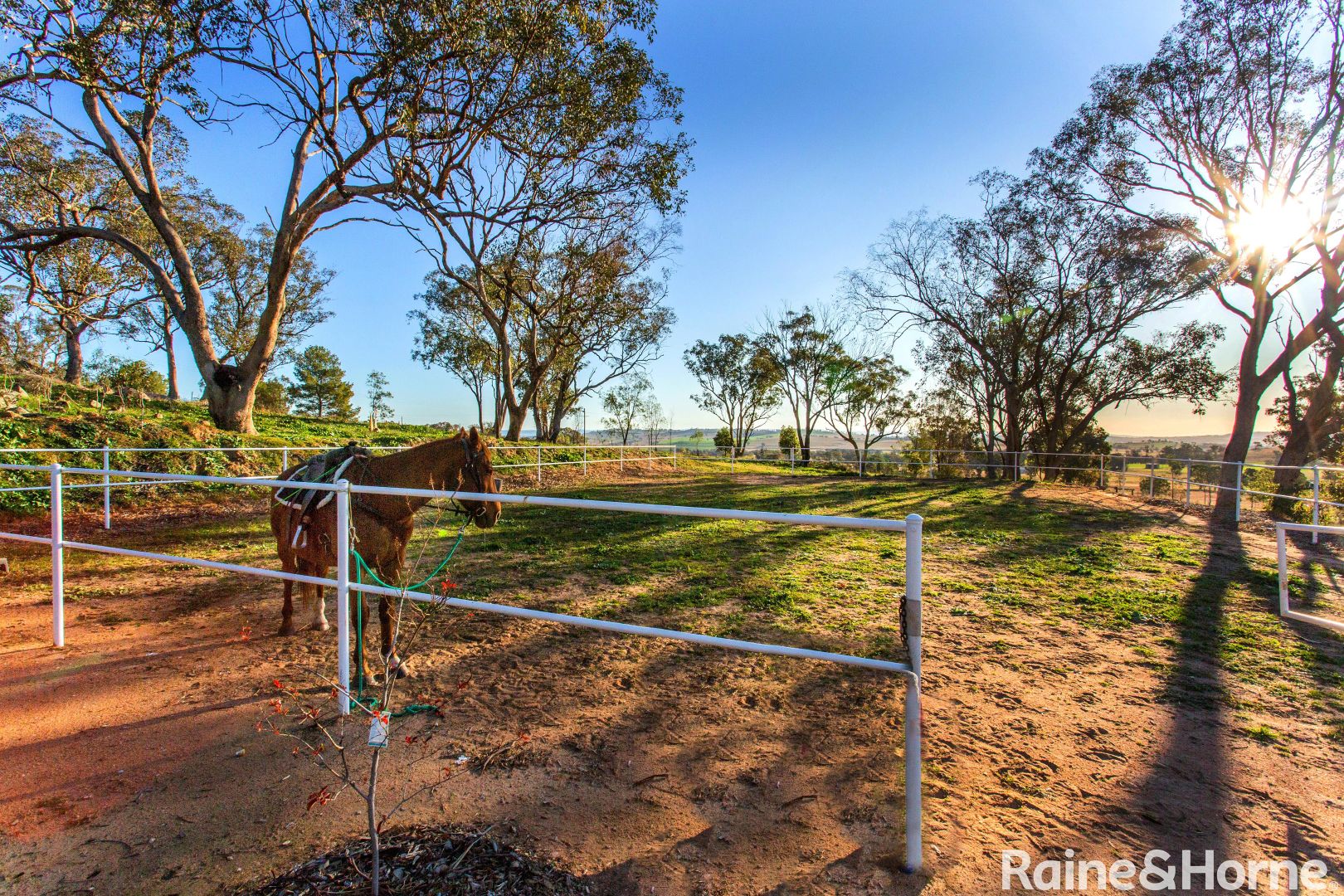 43 Pine Springs Road, Cowra NSW 2794, Image 1