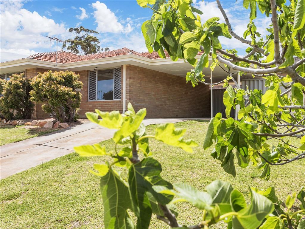 76B Doolette Street, Spearwood WA 6163, Image 1