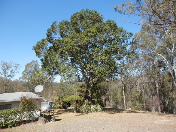 287 Ewingar Ridge Road, Ewingar NSW 2469