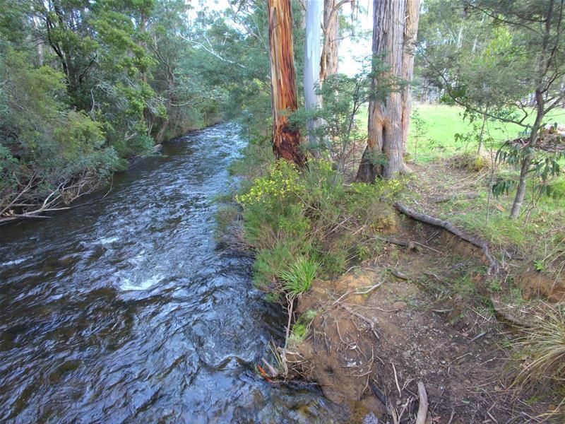 1 Lonnavale Road, Lonnavale TAS 7109, Image 1