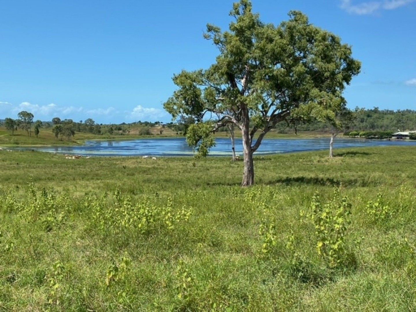 Bloomsbury QLD 4799, Image 0