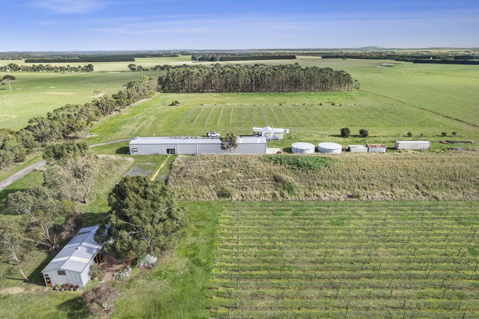 880 Winchelsea-Deans Marsh Road, Winchelsea South VIC 3241, Image 2