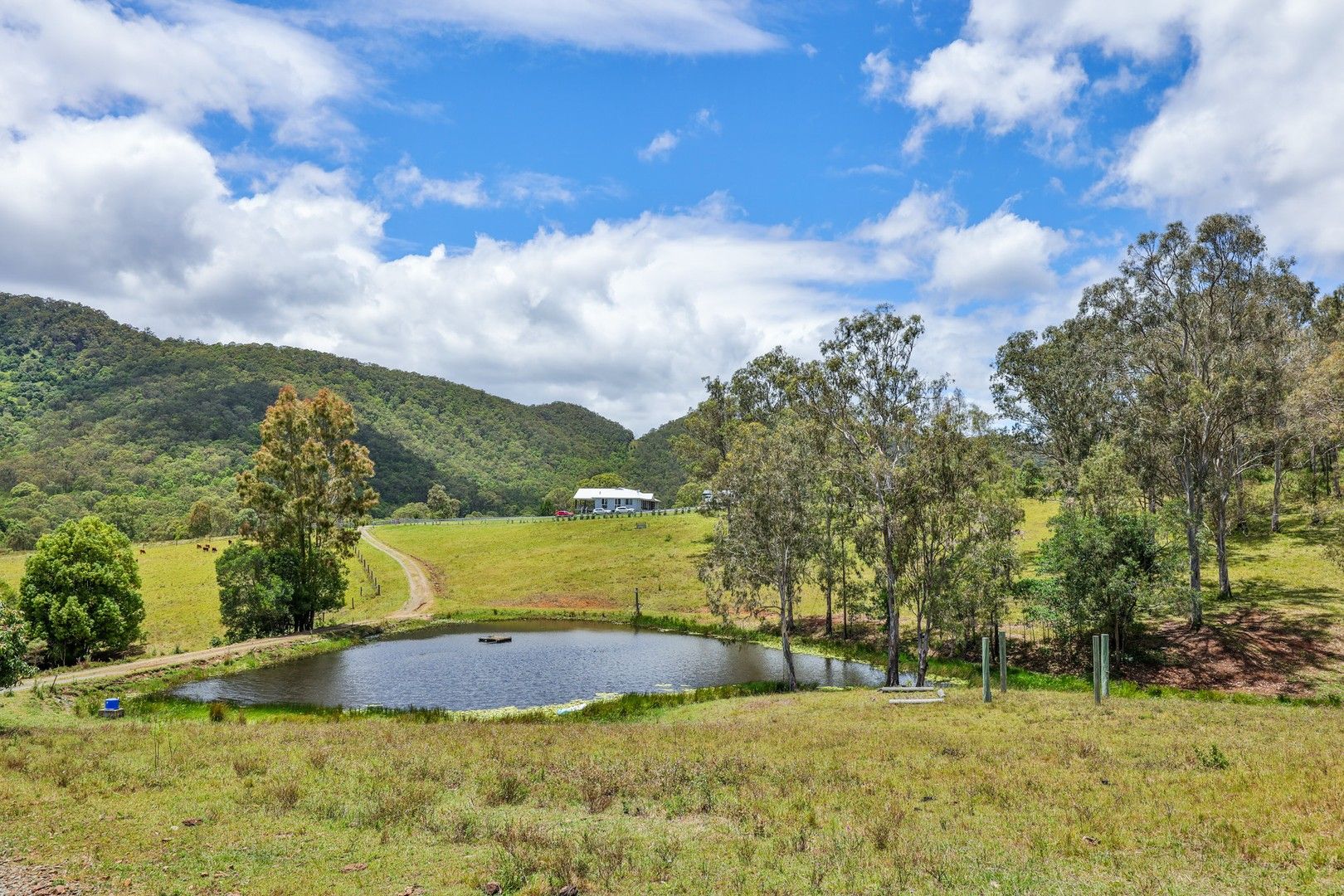 380 Cedar Creek Road, Cedar Creek QLD 4207, Image 0