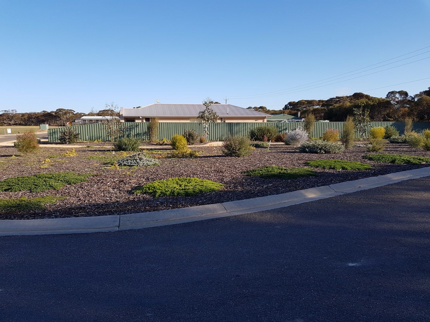 Lot 2 Morris Road, Karoonda SA 5307, Image 0