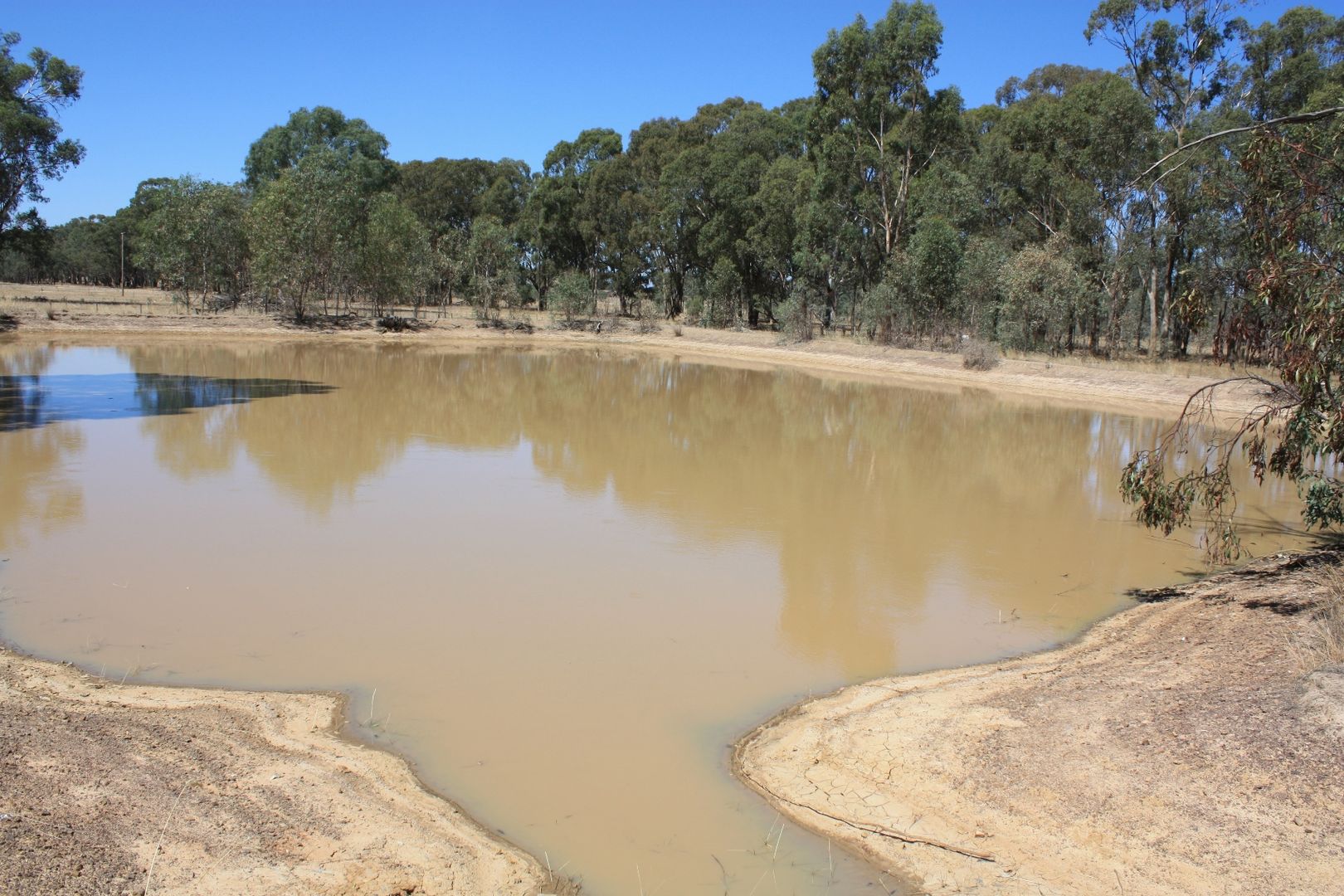 Lot 8 Braeside Lane, Tarnook VIC 3670, Image 2