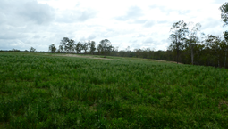 Picture of Promisedland QLD 4660, PROMISEDLAND QLD 4660