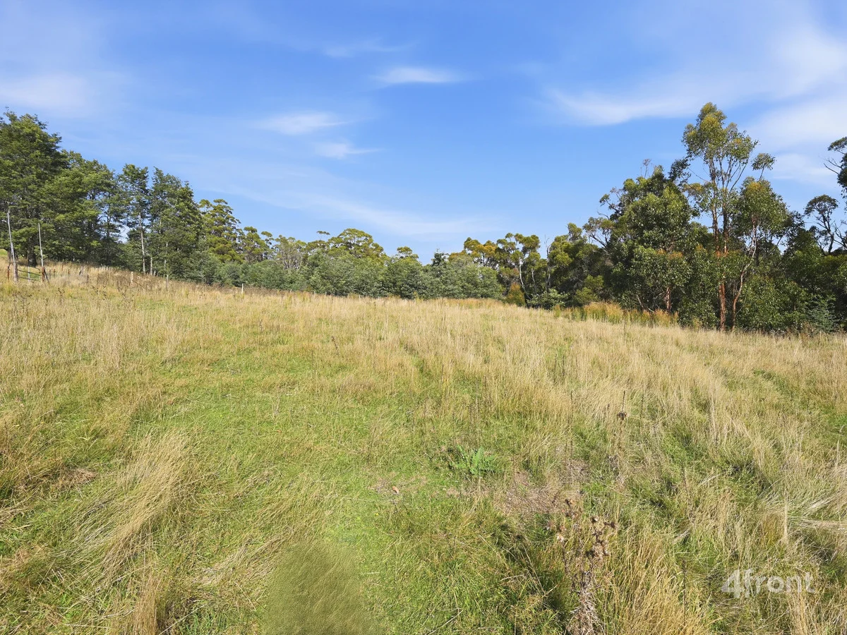 Additional image 16 of 89 Patons Road, Penguin TAS 7316