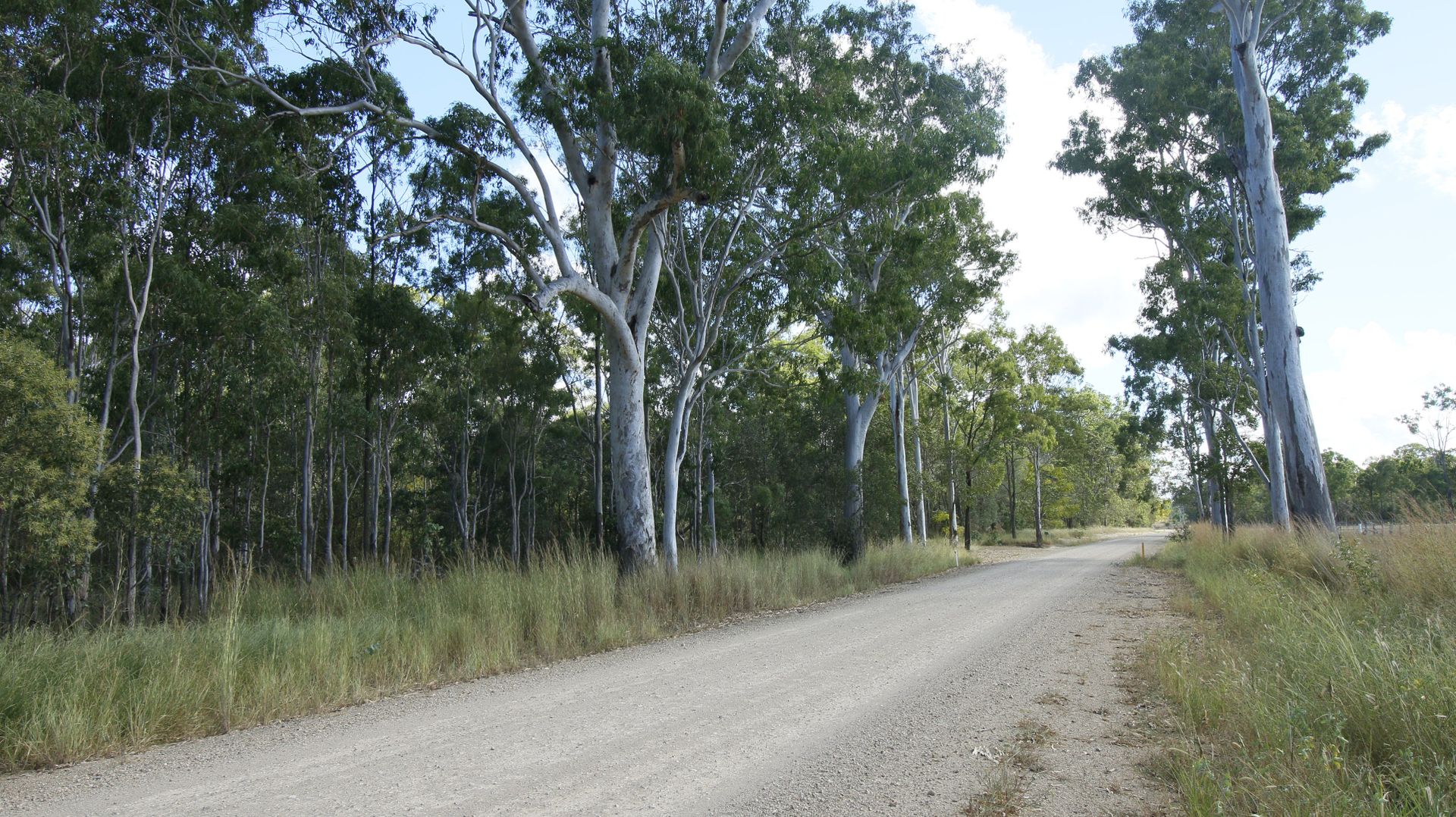 Lot 6 Cross Road, Euleilah QLD 4674, Image 2