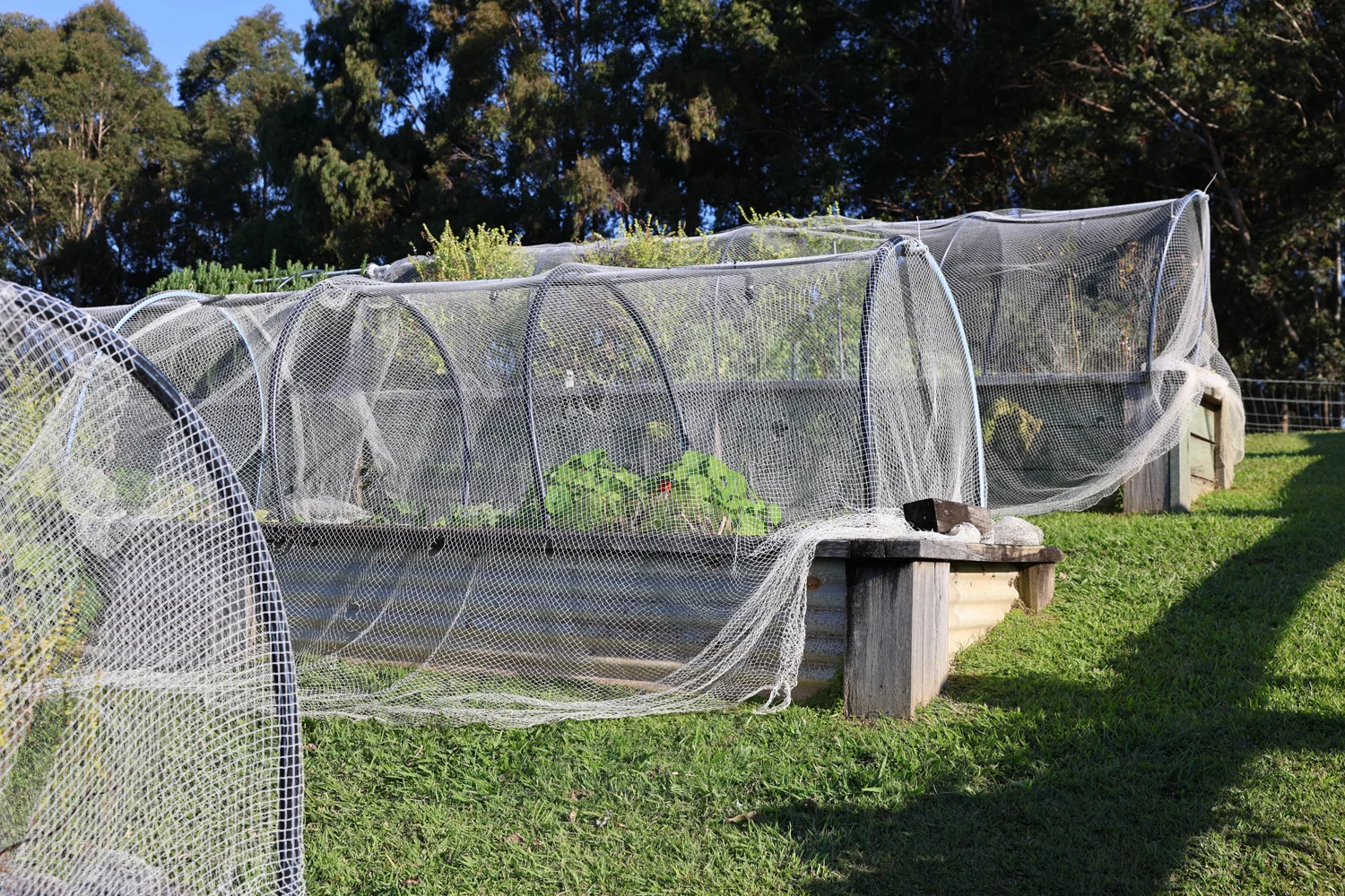 Additional image 27 of Cooroy Mountain QLD 4563