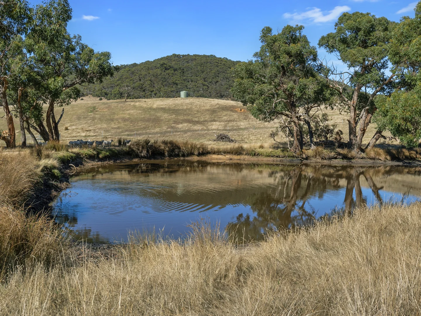Additional image 25 of 1519 Hindmarsh Tiers Road, Hindmarsh Tiers SA 5202