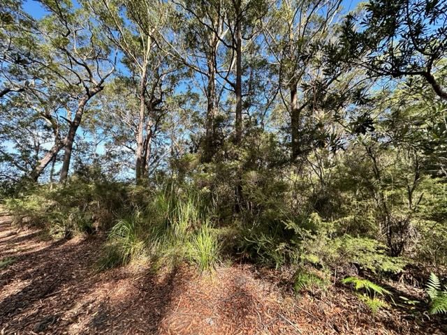 Lot 34 Sunnyside Avenue, Woollamia NSW 2540, Image 2