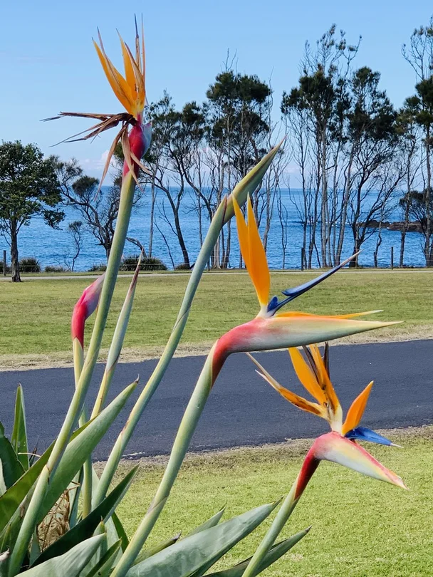 Additional image 20 of 33 McMillan Crescent, Dalmeny NSW 2546