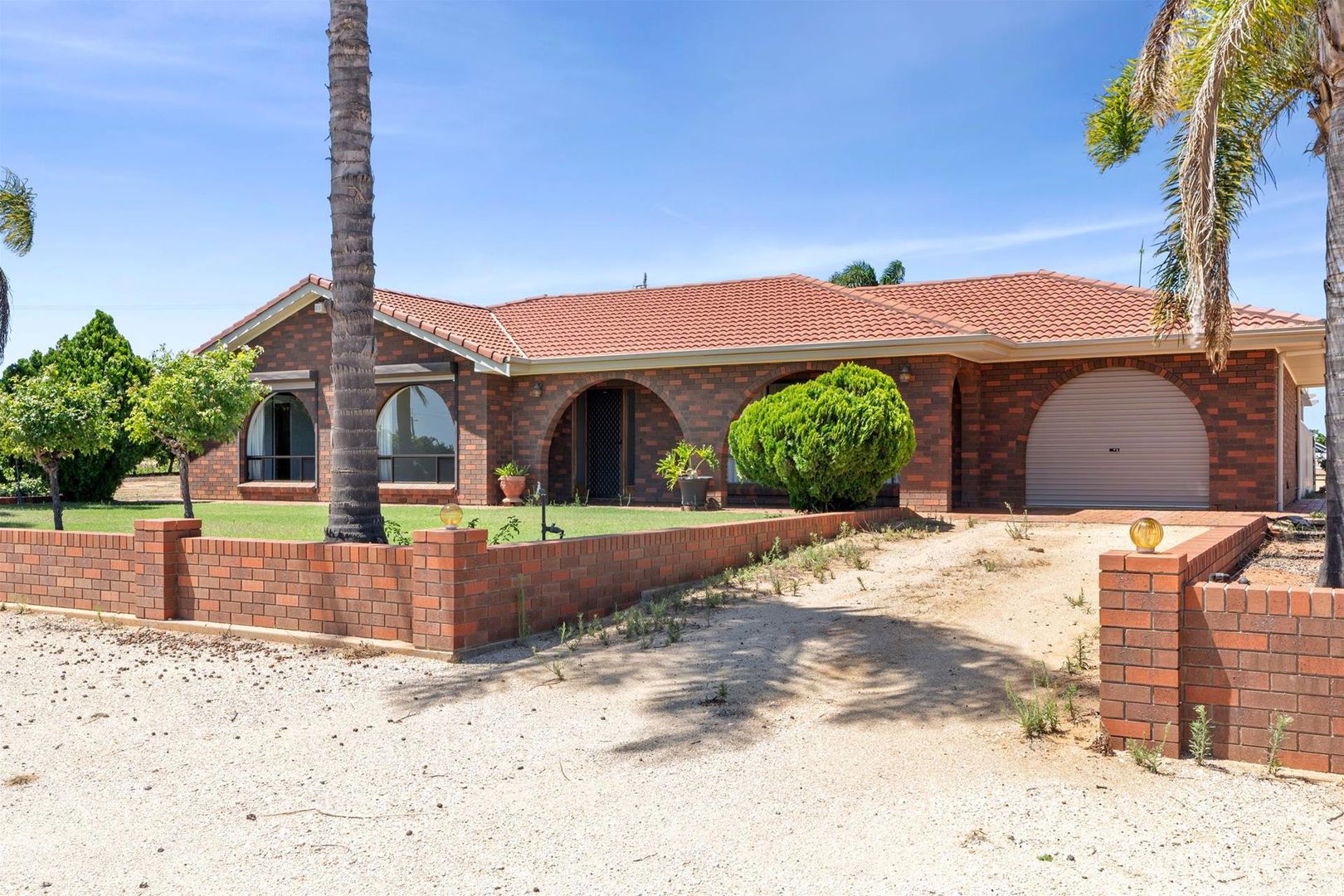 76 Old Sturt Highway, Barmera SA 5345 Farm for Sale 660,000