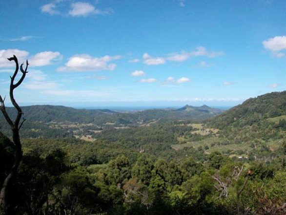 Lot 2 Left Bank Road, Mullumbimby Creek NSW 2482