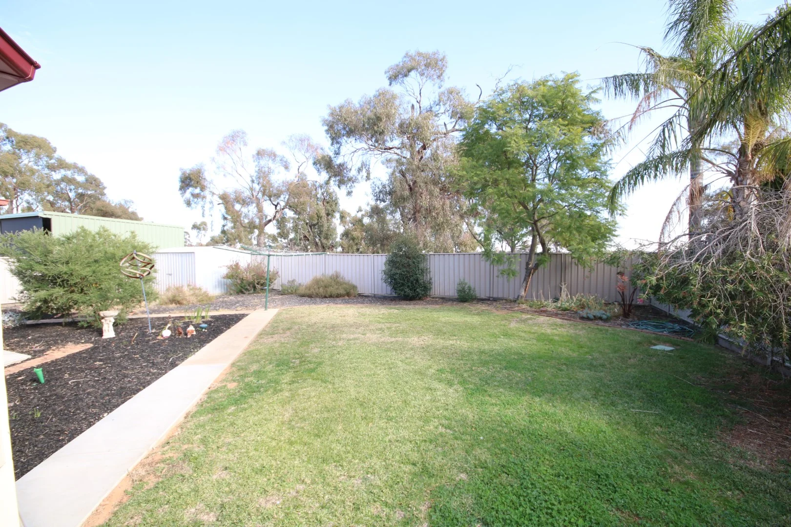 Image 20
