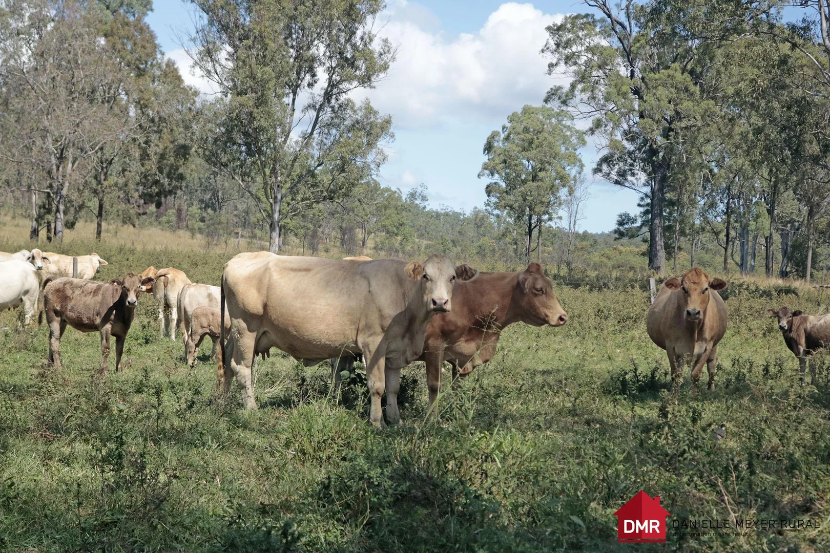 Additional image 6 of Eidsvold QLD 4627