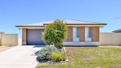 Picture of 107 Citrus Road, GRIFFITH NSW 2680