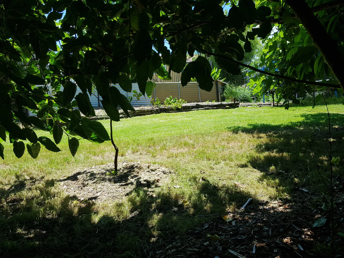 Image 21